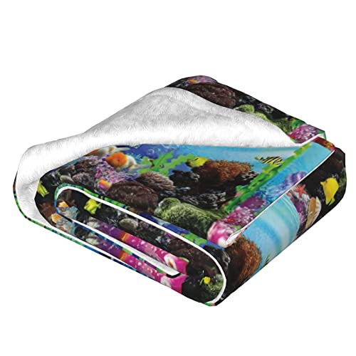 Couverture chauffante imprimé marine BAFAFA en micro-polaire douce - 4