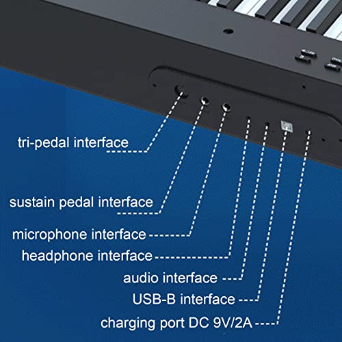 Piano numérique portable à 88 touches for la maison, marteau lourd, piano électrique, haut-parleur intégré, clavier MIDI, piano avec pédale de maintien, adaptateur secteur for enfants débutants profes - Les Beatles, Paul McCartney, John Lennon, RIngo Starr, George Harrison Piano numérique portable à 88 touches for la maison, marteau lourd, piano électrique, haut-parleur intégré, clavier MIDI, piano avec pédale de maintien, adaptateur secteur for enfants débutants profes – Image 7