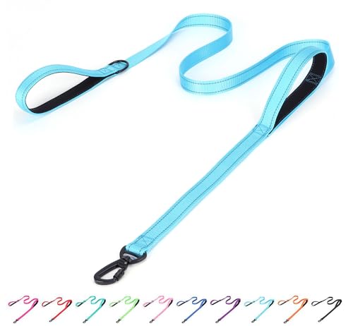 Bbmmayy Reflective Nylon Dog Leash - The Heavy Duty Hero Leash with Two Handles for Night Safety Training - for Small Medium Large Breed Pet Dogs (Light Blue, 6FT×1'')