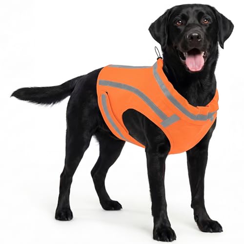 ASENKU Reflective Dog Vest High Visibility Adjustable Hunting Vest for Pets Dog Safety Vest for Night Walking and Outdoor Use Orange S