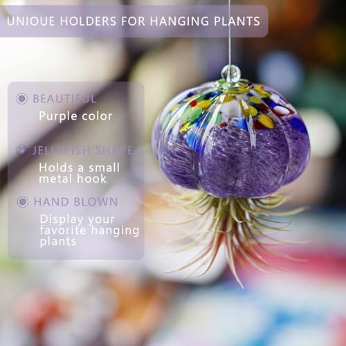 H&D Hyaline & Dora Hanging Hand Blown Art Glass Jellyfish Air Planter Terrarium Decor For Garden Porch Windowsill  thumb #4