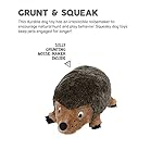 Outward Hound, Hedgehogz Plush Dog Toy, Medium - Image 5