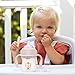 Chicco Transition Sippy Cup for Babies 4+ Months, 7oz Training Cup with Soft Silicone Spout, Easy Grip Removable Handles, Measurement Markings, BPA Free, Blush