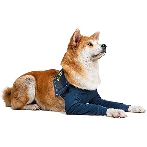 MPS Medical Pet Shirt - TAZ2, Double Front Leg Sleeve for Dog, Large Cover
