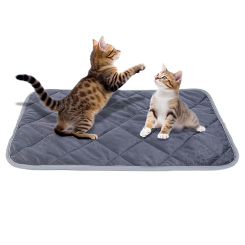 Cama para perros | Tapete cálido para gatos, cojín lavable para dormir para clima frío, jaula de perro, gato, jaula de coche, perrera, interior, viajes, área de descanso para mascotas