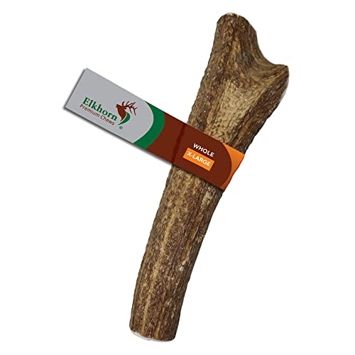 Elkhorn Premium Chews X Large Whole Single Pack (for 50-90 lb Dogs) Premium Grade Elk Antler for Dogs (1 Piece) Sourced in the USA