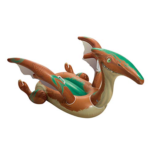 spaceship pool float