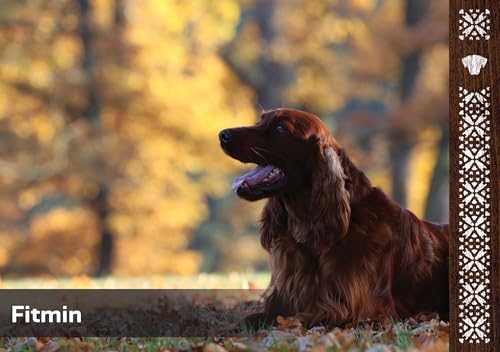 Fitmin Maxi Senior Dogs | Hundetrockenfutter | Hundenahrung mit Frischfleisch | 76% Protein tierischen Ursprungs | Futter für ältere Hunde großer Rassen | 12kg