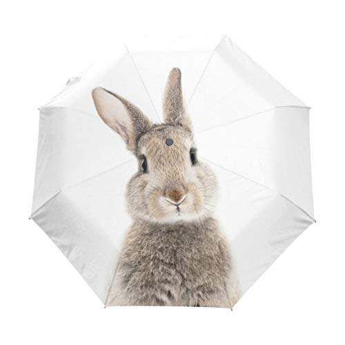 Akiraki �܂肽���ݎP ���f�B�[�X �y�� �����^�b�` �����J�� �����Y ���P UV�J�b�g �Ռ� ������ �������� �� �z���C�g ���� ���킢�� �܂��ݎP ���J���p �f�M �ϋ��� �J�P �P �������H ���O���΍� ���[�|�[�`�t��