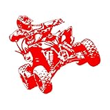 Le vinyle est flexible, résistant, imperméable, anti-moisissure et facile à nettoyer, ce qui le rend idéal pour la plupart des environnements. Nettoyez toutefois la surface avant l'application. Pour le repositionner, il suffit de le décoller sans abîmer le mur.