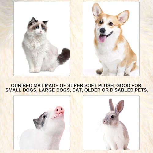 Plaid pour chien et chat couverture lavable en peluche douce