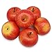J-Rijzen 6pcs Artificial Apples Fake Apples Artificial Fruits Vivid Apples for Home Fruit Shop Supermarket Desk Office Restaurant Decorations Or Props (Red)