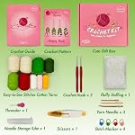 SGIBYN Crochet Kit pour débutants avec vidéo - 4 Pcs Ensemble d'artisanat d'usine de suspension de Pcs , Tutoriels vidéo étape par étape, Kit d'installation de suspension pour adultes, Kits de tricot, Apprendre à Crocheter ensemble