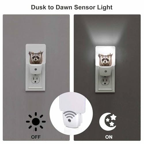Image of LED Night Light,Funny Cute Raccoon LED Night Light Plug into Wall with Dusk to Dawn Light Sensor White Energy Efficient Nightlight for Bedroom Bathroom Hallway Living Room Kitchen