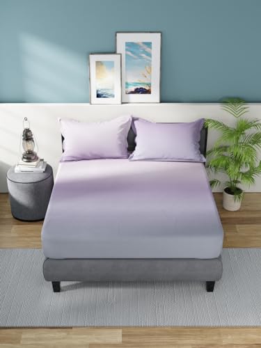 Image of NAUTICA 160TC Super Soft 100% Cotton King Bedsheet with 2 Pillow Covers -3Pc Set (Bradford) Solid-Purple /Mauve
