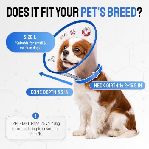 Image of SILVER GRADE Protective Dog Cone Collar for Recovery, Size L, 14.2-16.5 in