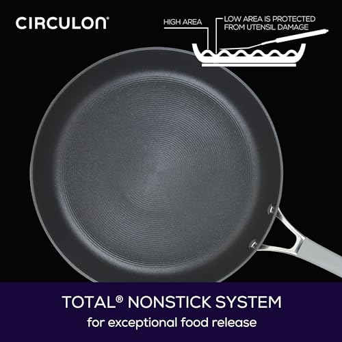 Circulon-Elementum-Hard-Anodized-Nonstick-Deep-Frying-PanSkillet-with-Lid-12-Inch-Oyster-Gray