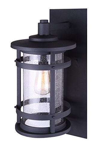 Duffy 1-Light Outdoor Wall Lantern, Black Metal Finish with Seede...