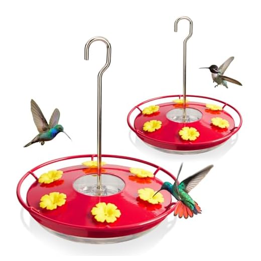 Kingsyard 2 Pack Hummingbird Feeder for Outdoors Hanging - Heavy Duty Metal lid with 6 bee Guard Feeding Ports & Circular Perch, Built-in Ant Moat, Easy to Refill & Clean (12 Oz/Pack).