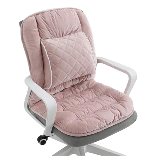 Gujuja Upgrade Lumbar Support Cushion