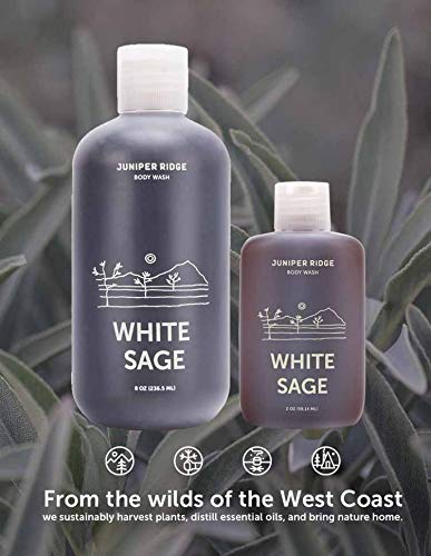 Juniper Ridge White Sage Body Wash - Concentrated Organic Vegan Castile Soap - All Natural Ingredient Essential Oil Bath & Shower Gel - Paraben, Phthalate, Dye, Cruelty, & Perservative Free - 8Oz #TOP2