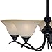 Hardware House 127547 Chandelier, 5 Light Dover Series/Classic Bronze