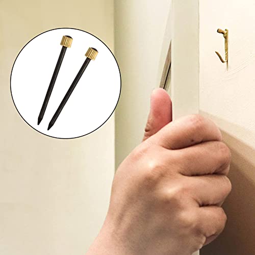 Image of SPEEDWOX 60 Pcs Picture Hangers Black Steel Nails and Brass Head Frame, Picture Hanging Nails for Hanging Picture Painting with Plastic Storage Box Holds Up to 5-30 lbs(Large)