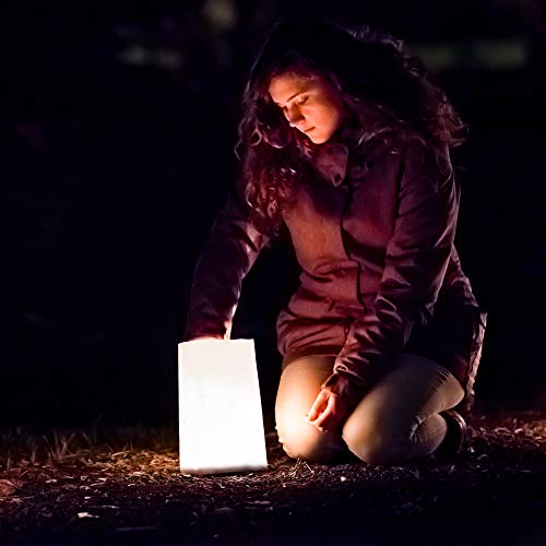 Lumabase 41012 Flame Resistant Bag Paper Luminarias, White #TOP4