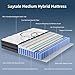 Queen Mattress, 12 Inch Hybrid Queen Size Mattress in a Box, Medium Firm, Memory Foam & Pocketed Springs, Pressure Relief, CertiPUR-US Certified& Fiberglass Free, Motion Isolation, 365-Night Trial
