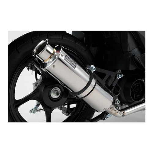 Amazon | ビームスモーターカンパニー(Beams Motor Company) SS300