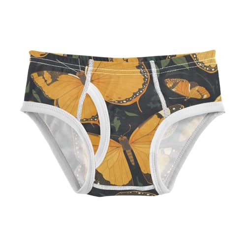 KLL Monarch Butterfly Toddler Boy Pure Cotton Athletic Underwear Breathable Children Undies