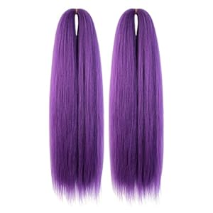 Purple Braiding Hair 24 Inch Long P...