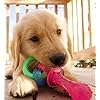 Chew Toys for Teething Puppies