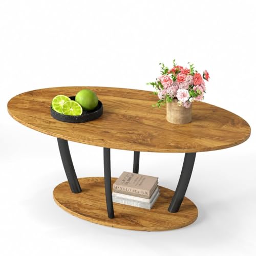 Manora Table Basse de Salon, Table de Salon Ovale avec 2 Niveaux de Rangement, Style Moderne en Bois et Métal Noir, Table de Café Stable pour Salon, Chambre,...
