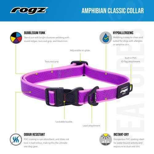 Rogz Klassisches Amphibien-Halsband Dayglo Größe L: 34–56 cm – Das Halsband ist ideal für Aktivitäten im Wasser.