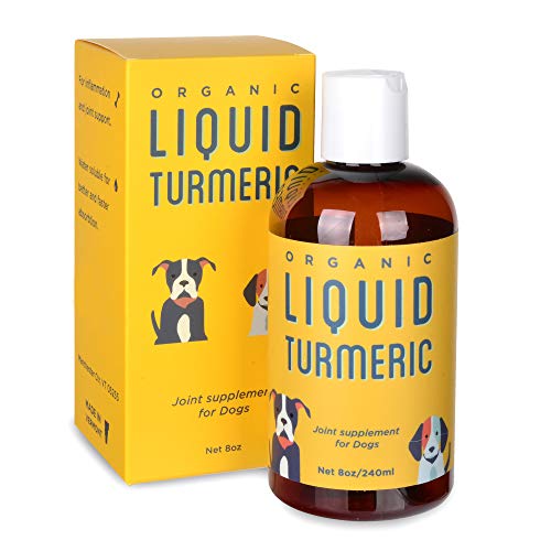 Kangaroo Dogs Organic Turmeric Curcumin Dog Joint Supplement - Liquid for Faster