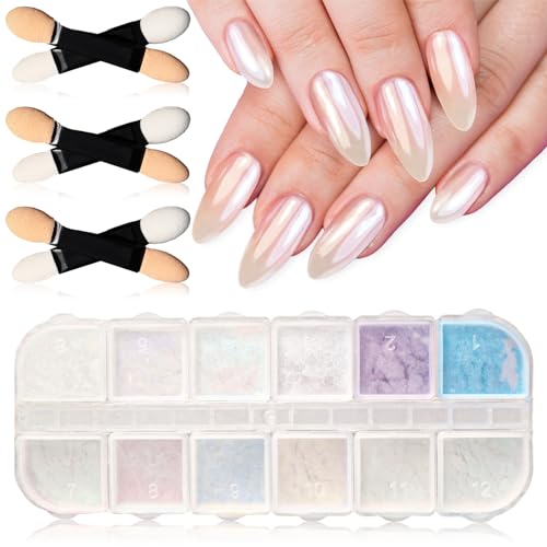 Andibro Polvere per Unghie Cromata 12 Colori