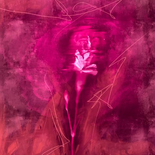 Cobuz & Bustta & Brray