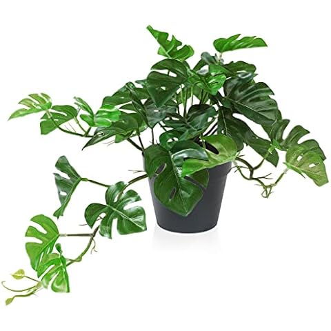 ALAGIRLS Small Fake Monstera Plant 26.6cm, Artificial Hanging Plants for Home Decor Indoor and Outdoor, Faux Desk Table Plant for Living Room Bedroom Bathroom Kitchen Office Decoration Cover