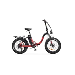 Jeep Phoenix 250W Motor 374WH Batterij Opvouwbaar E-Fiets, 20-Duim Wiel Maat