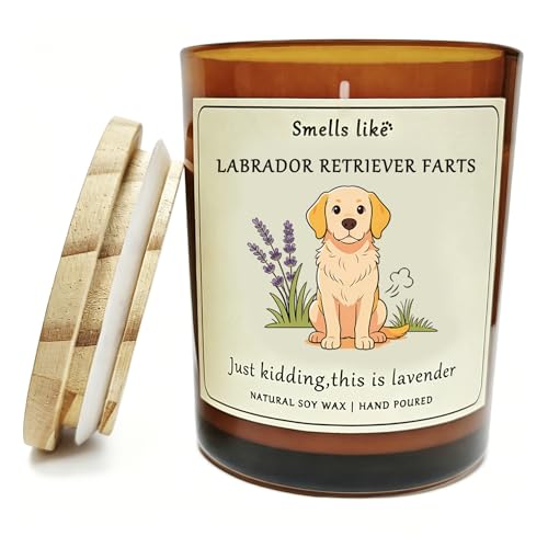 Bougie lavande Labrador : célébrez l'amour de votre chien au quotidien