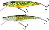 Salmo Pike Set - 2 Wobbler für Hecht 11cm 15g schwimmend - Köder für Hecht, Zander, Barsch , Hechtköder, Hechtwobbler, Barschwobbler,