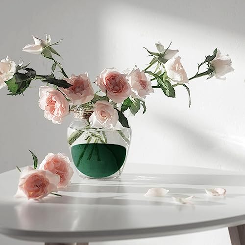 Shihanee 12 Pcs Half Ball Floral Foam Dry Floral Foam Round Foam Block Green Foam Balls for Artificial Flowers Craft Plant DIY Foam for Arrangement Wedding Decorations(7.5 x 3.75 Inch)