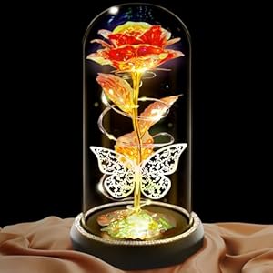 Birthday Gifts for Women, Preserved Flowers Rose Gift for Mother Day, LED Light Artificial Rose in Glass Dome, Forever Rose for Mom Wife Girlfriend Sister, Teacher, Nurse, Anniversary Day, Red