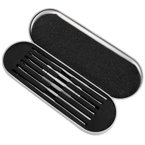 Mikinona 6 Piezas Kit Limpiador Oídos Espiral Acero Inoxidable con Caja Portátil, Herramienta Profesional para Eliminar Cera, Seguro Uso en Casa o Viaje