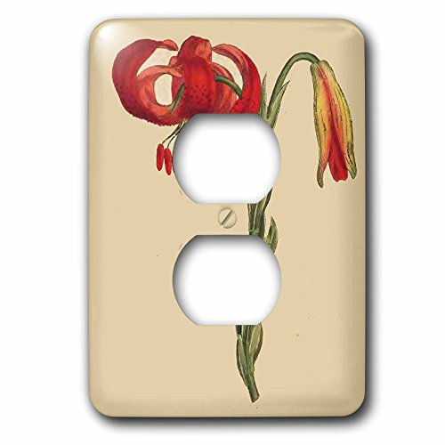 Cache-prise lys calcédoine 3dRose lsp_204736_6 pour masquer prises