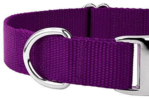 Country Brook Design - Vibrant 25+ Color Selection - Premium Nylon Dog Collar With Metal Buckle (Medium, 3/4 Inch, Purple) #TOP7
