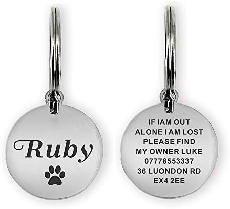 ID Tag for Dog Cat Pet Personalised Dog Tag Dog Collar ID Tag Collar for Dogs Cats Pets Custom Any Text (Champagne Gold, Bone)
