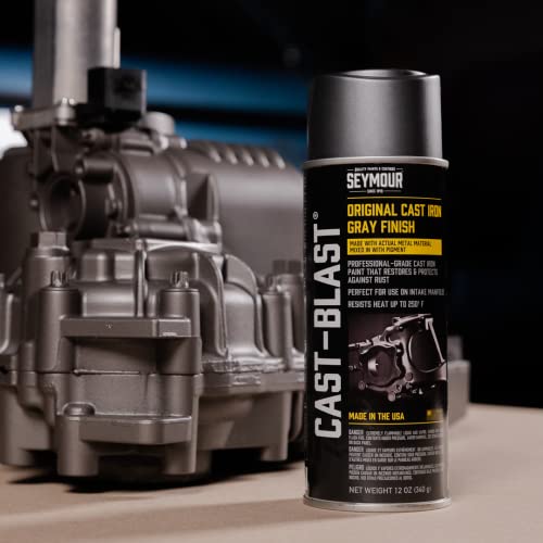 Seymour 16-2668 Automotive Specialties Spray Paint, Cast Iron Gray 12 Ounce (Pack Of 1) #TOP4