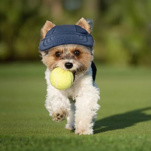 Atmungsaktives Hund Baseballmütze, Einstellbare Baseballmütze für Haustiere, Hunde-Sonnenhut mit Ohrlöcher, Stilvoll Sommer Reise Hut für Haustiere, für Alltag und Outdoor-Aktivitäten (Marineblau, M)